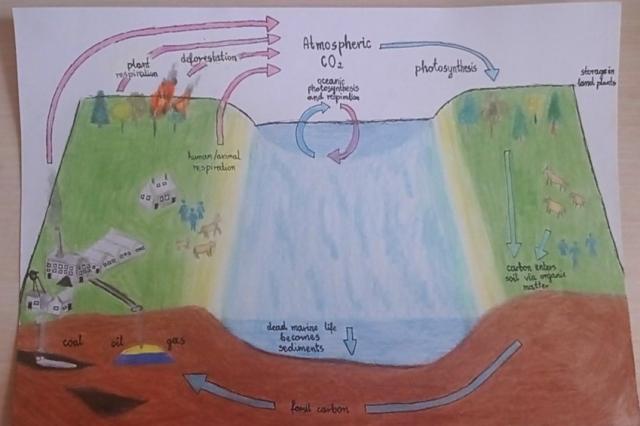 Education drawing poster